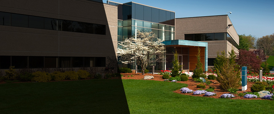 Newport Beach Landscapers