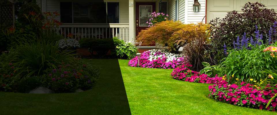 Newport Beach Landscapers