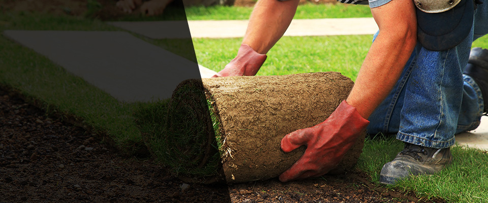 Newport Beach Landscapers